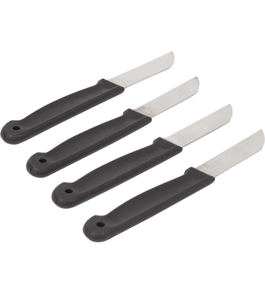 Set Coltelli da Cucina in Acciaio Inox e Impugnatura Ergonomica - 4 pz
