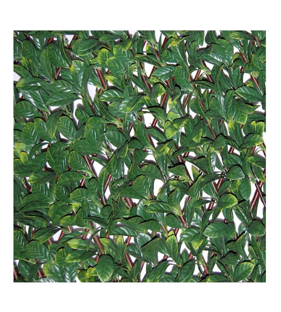 Tenax Siepe Artificiale Verde 200x100 cm con Foglie 3D Estensibile