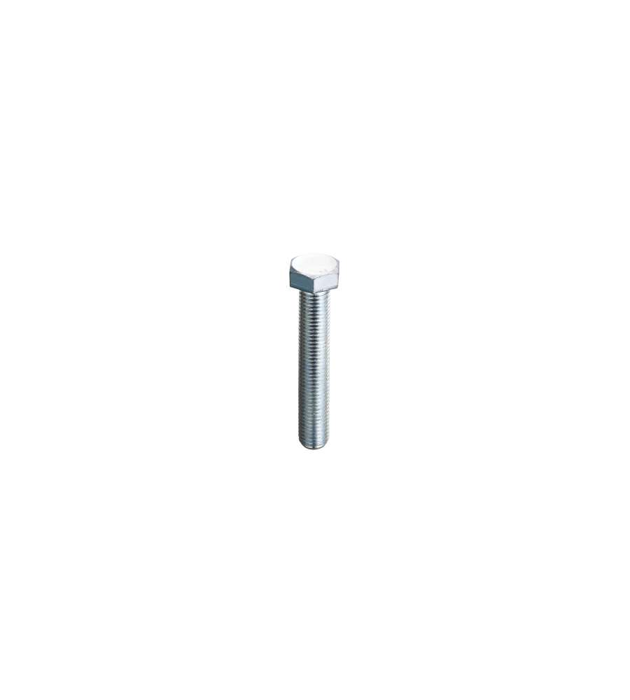 Viti Metriche Inox Testa Esagonale Mm.5X20