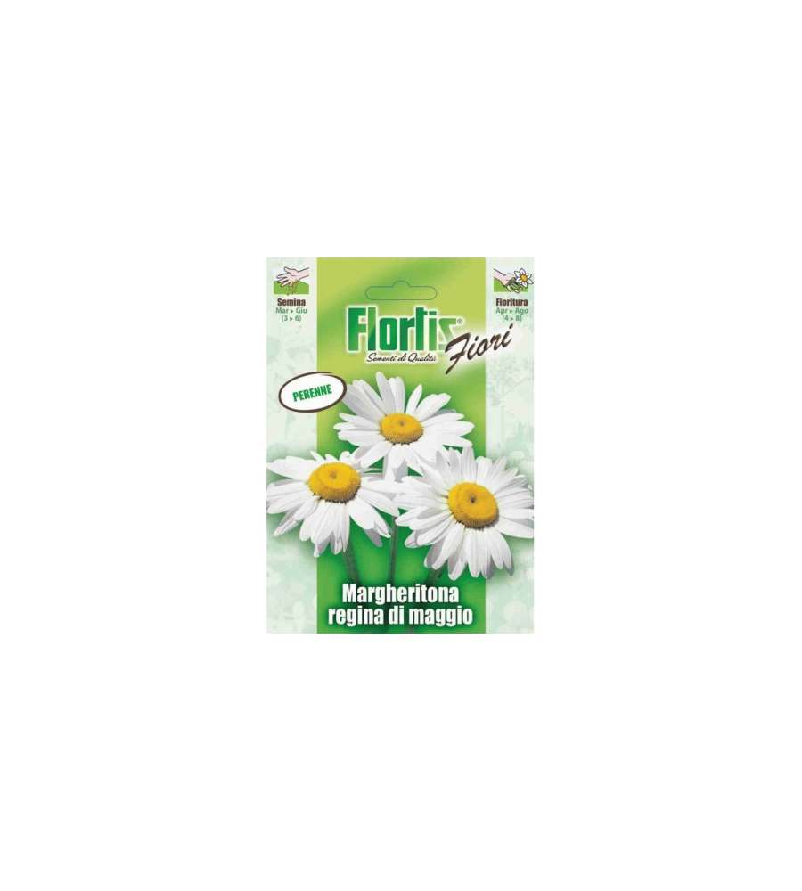 Flortis Semi Margheritona Regina di Maggio - Miscuglio perenne in bustina