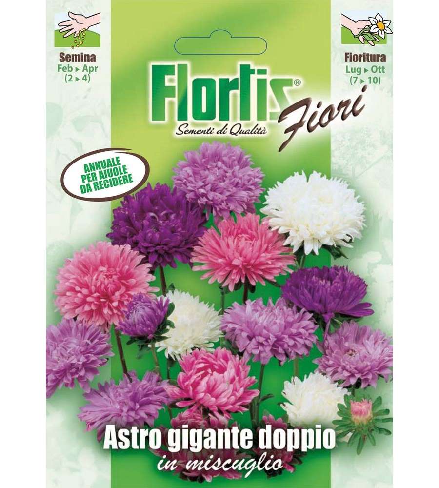 Flortis Astro Gigante - Pianta Annuale Fiori Doppi Altezza 70-80 cm