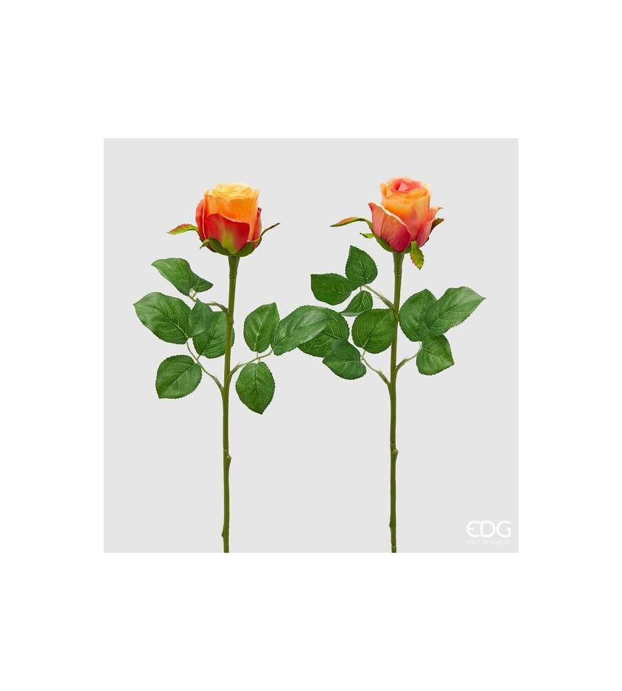 Rosa bocciolo Olis con 3 foglie e due colori assortiti Arancioni