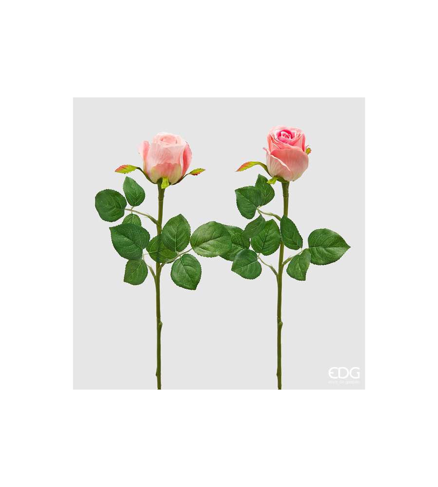 Rosa bocciolo Olis colori assortiti 51 cm