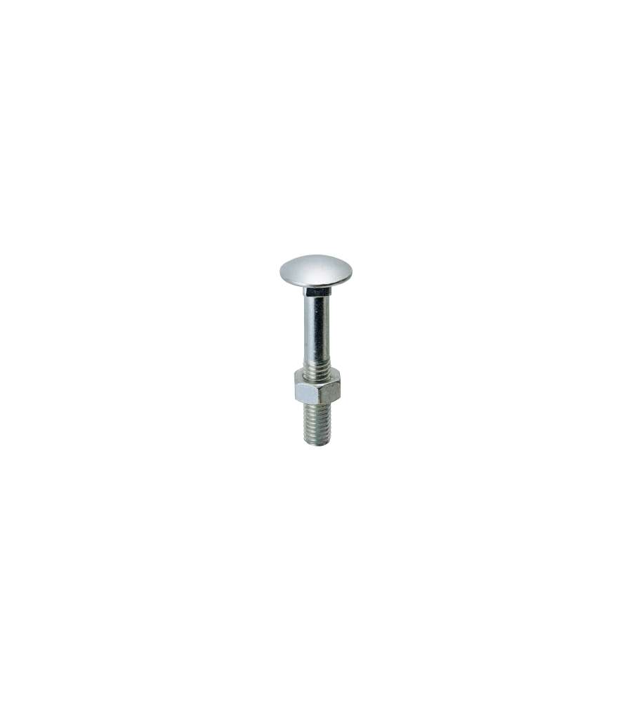 Viti Testa Tonda Con Quadro Sottotesta (Ttq) Inox Mm.6X 70