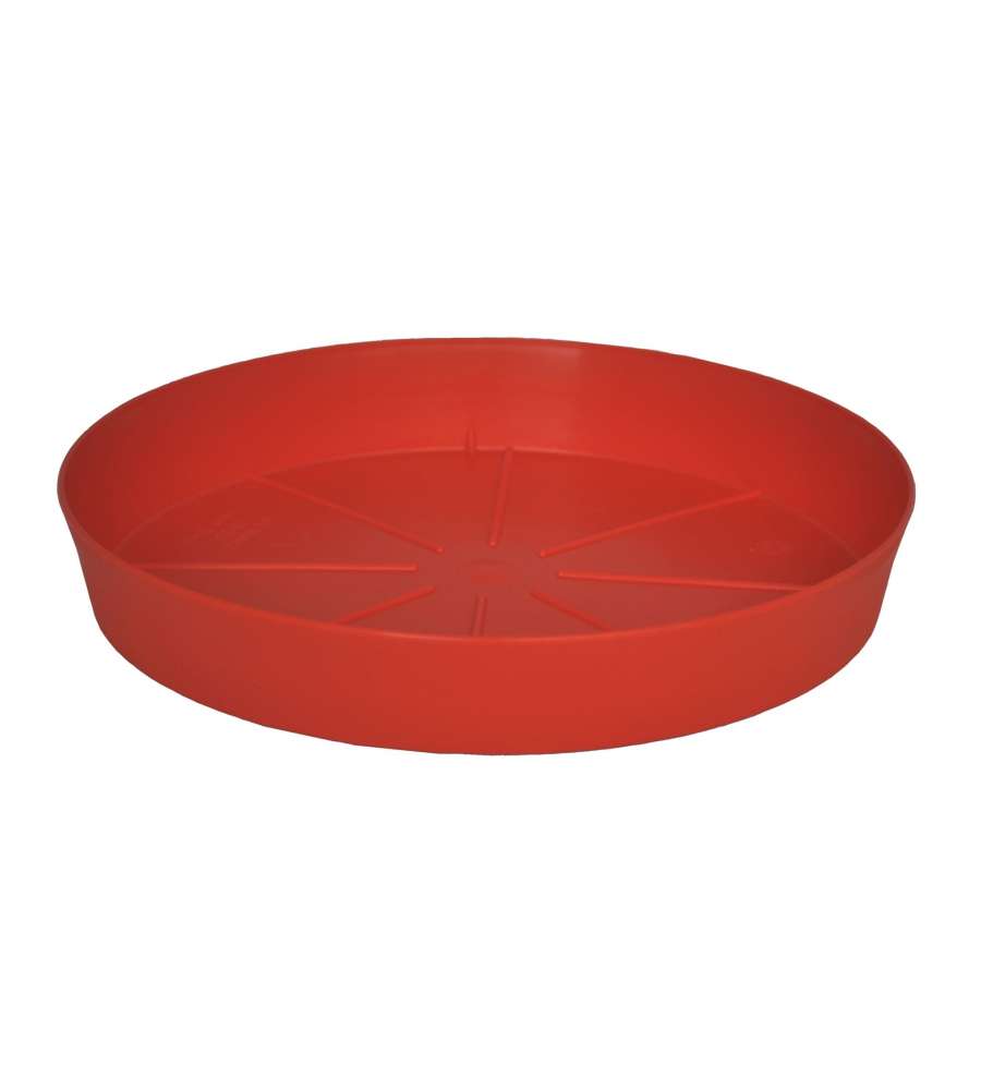 Sottovaso Memphis 17 cm Cherry