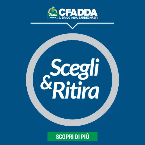 Scegli e Ritira: acquista online su CFadda e ritira in poche ore!