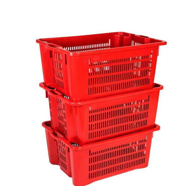 Ceste raccolta pomodori