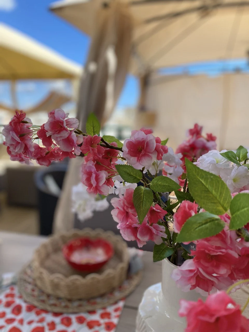 Negozi e eCommerce per prodotti casa e giardino