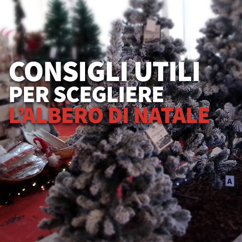 Consigli utili per come scegliere l’albero di Natale