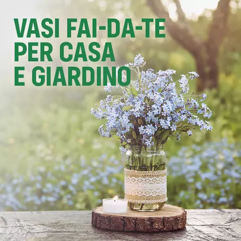 Vasi fai-da-te per casa e giardino