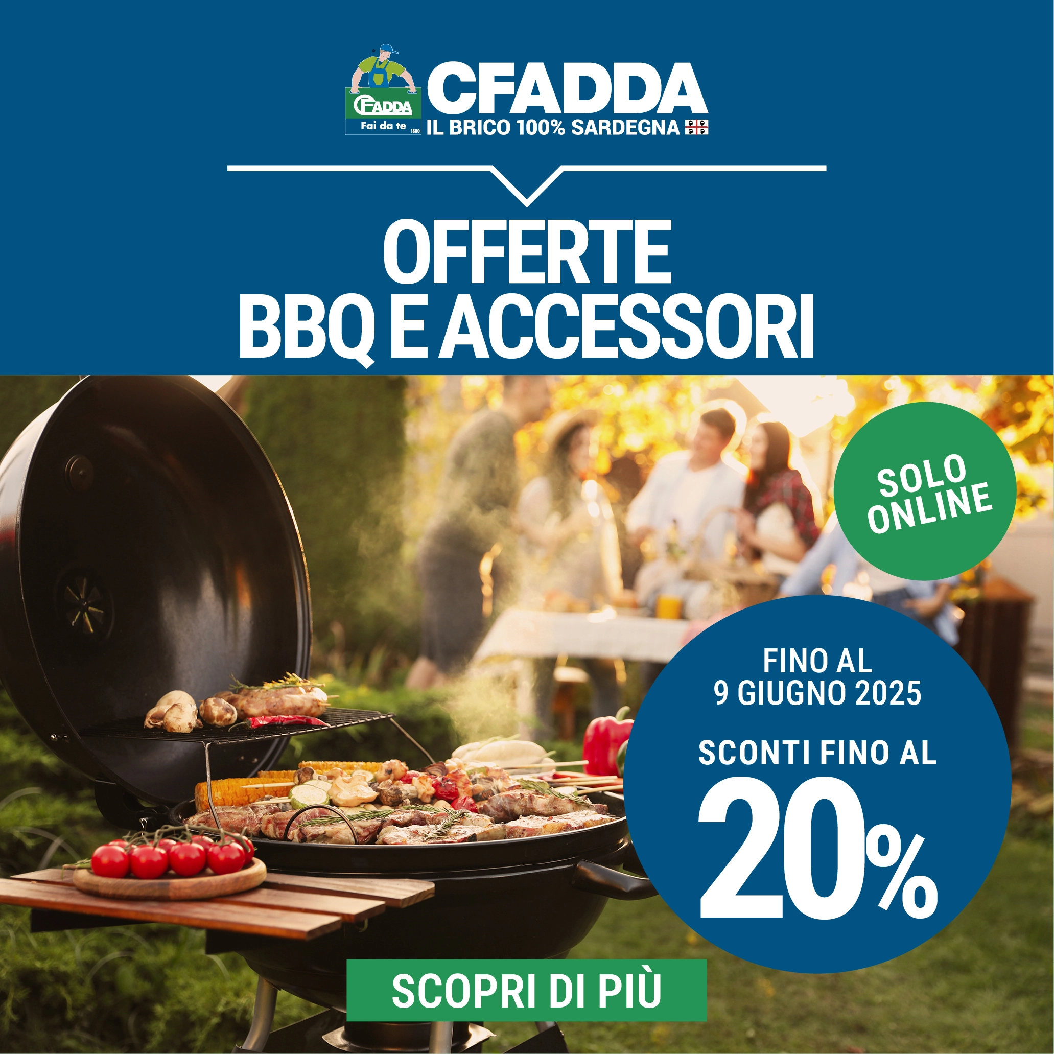 Offerte Barbecue e Accessori