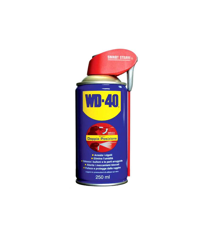 Lubrificante Spray Ml 250 Professional        WD-40