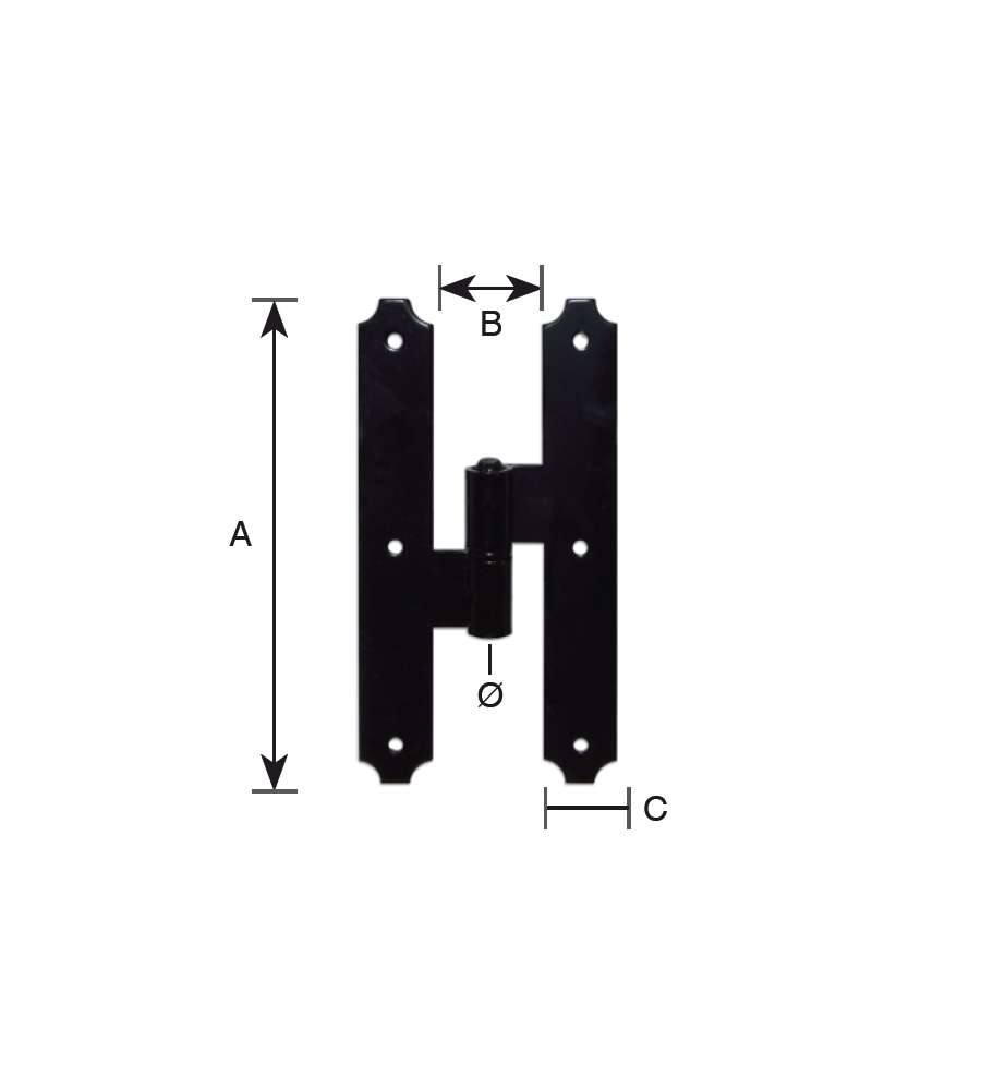 Cantonale Centrale Nero L.180 D 12 Dx