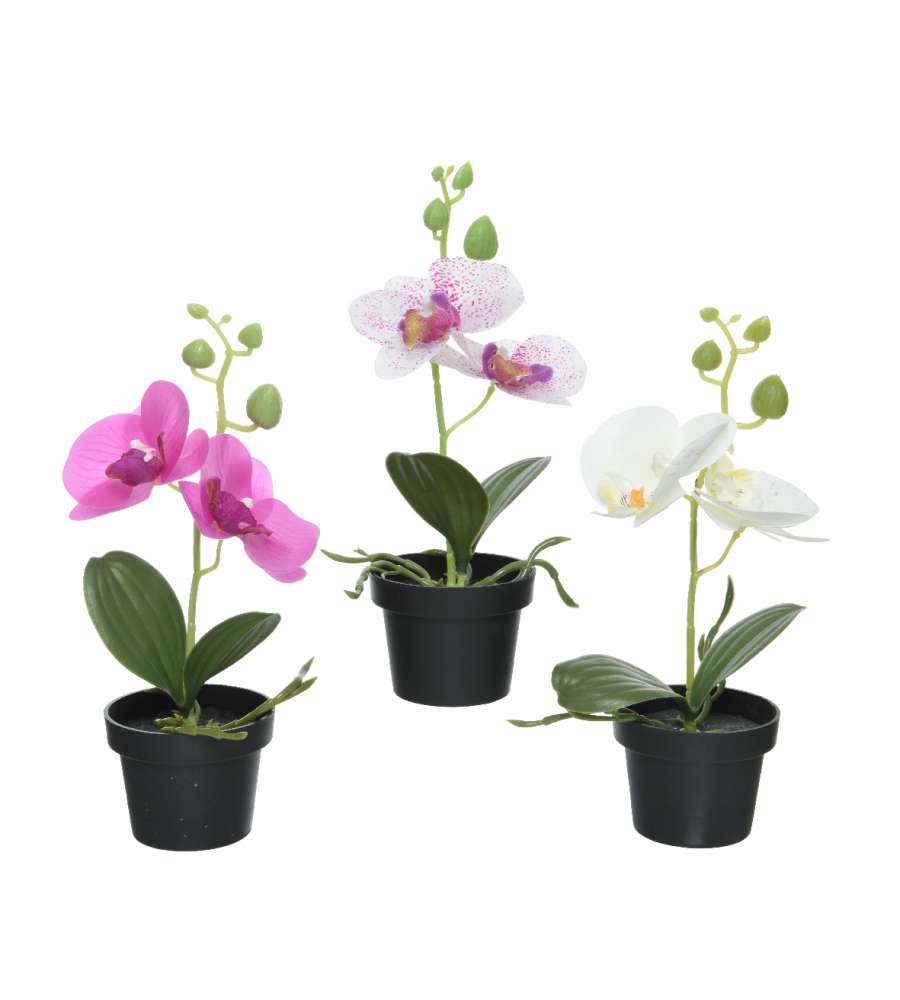 Orchidea finta con vaso in ceramica - Giardino e Fai da te In
