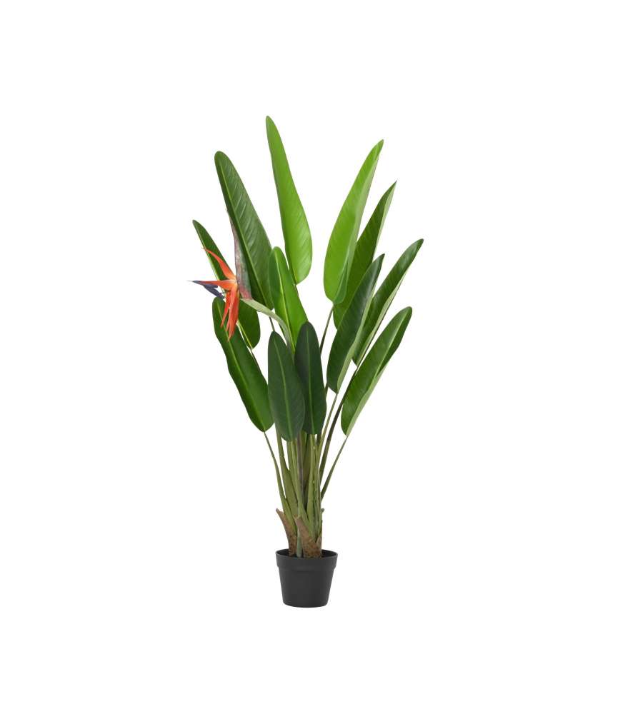 Strelitzia Artificiale Pianta in Vaso 120 h cm - Decorazione per Casa