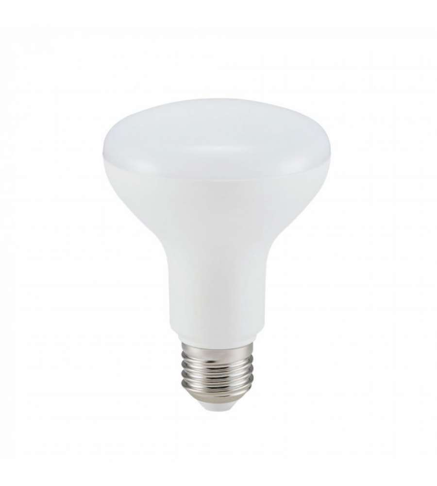 Lampadina LED Chip Samsung E27 10W R80 6400K