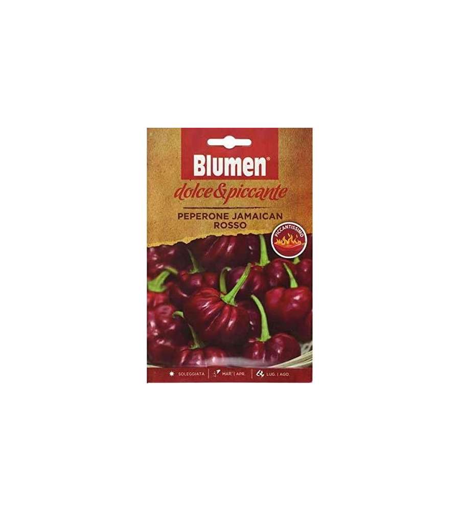 Semi di peperoncino Jamaican rosso