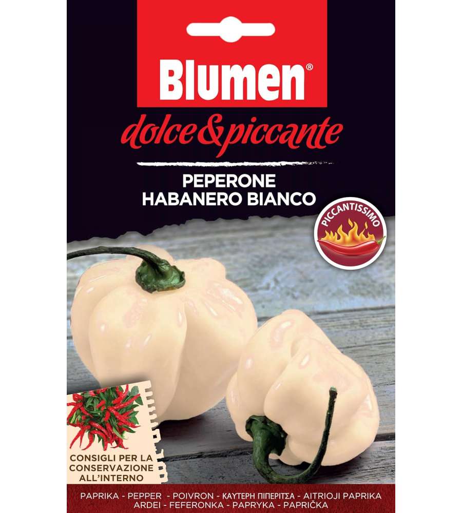 Semi di peperoncino Habanero Bianco