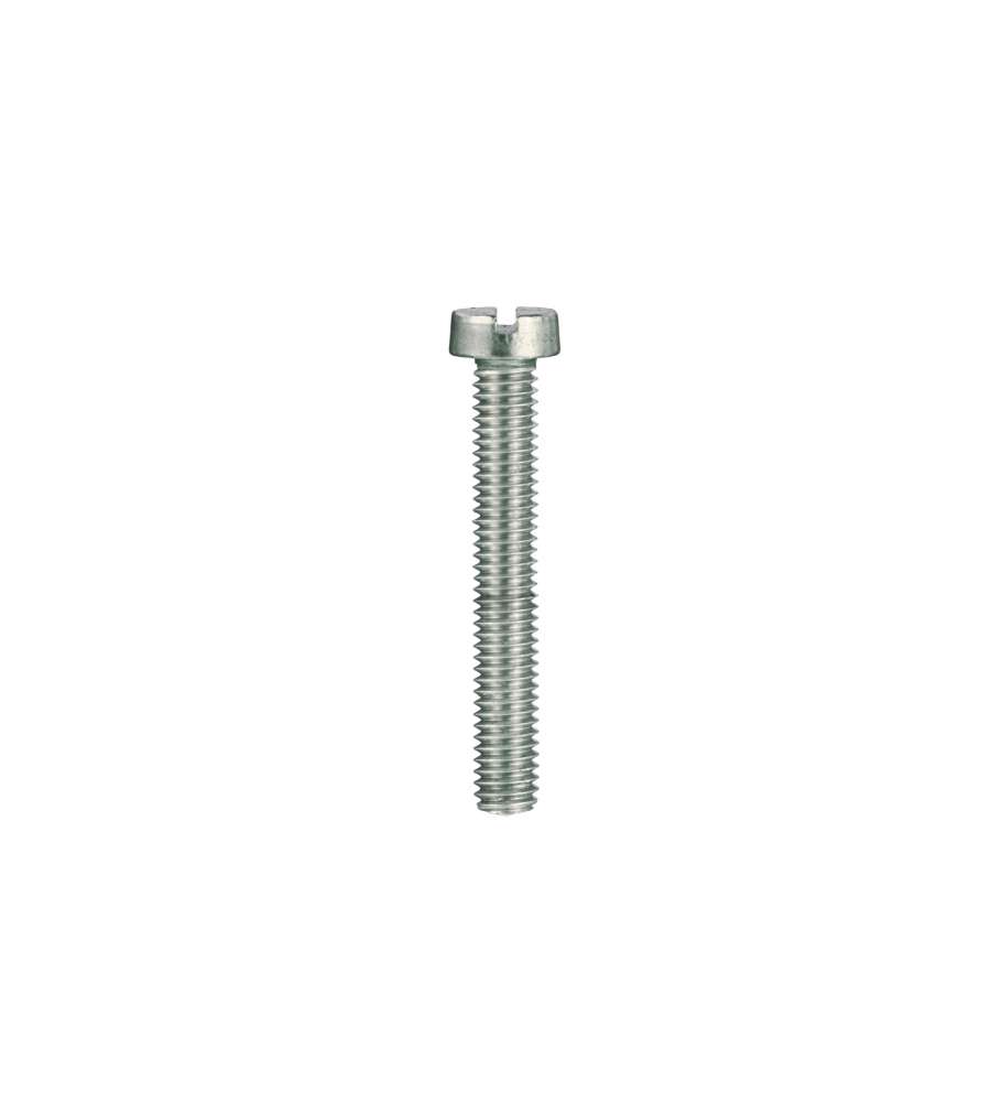 Viti per metallo testa cilindrica Inox 3 x 16 - 20 pz.