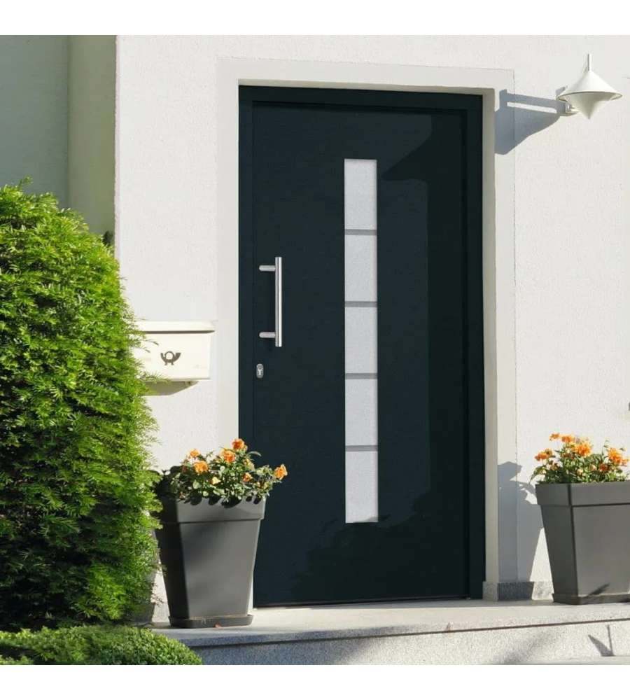 Porta d'Ingresso in Alluminio e PVC Antracite 100x210 cm 3056816