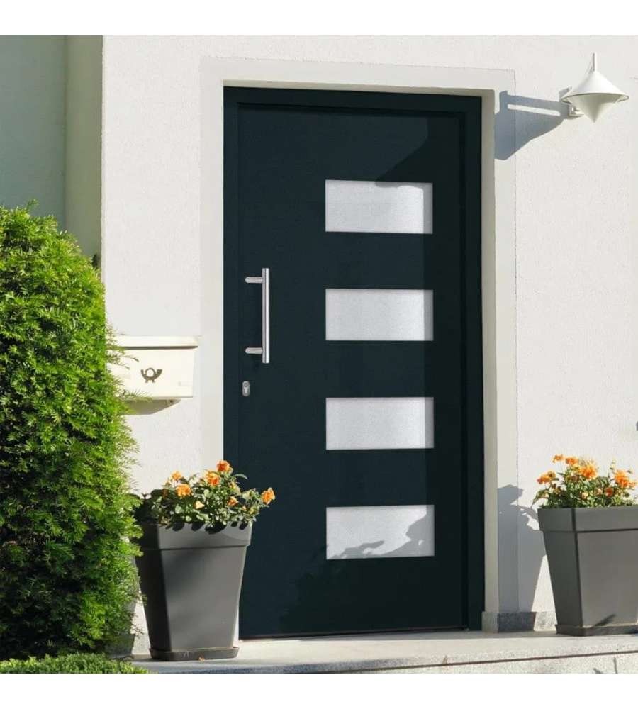 Porta d'Ingresso in Alluminio e PVC Antracite 100x200 cm 3056827