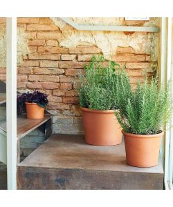 Deroma Vaso Terracotta Cilindro Bordato - Cotto - 23 cm