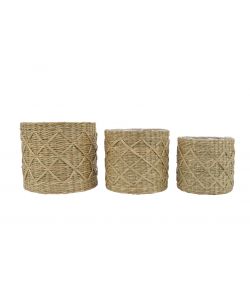 Cesta in seagrass Media