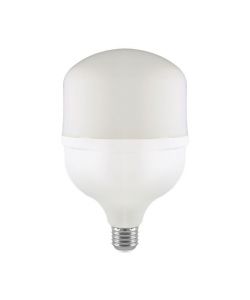 V-TAC Lampadina LED E27, incluso Anello con Attacco E40 60W T160 6500K