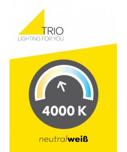 Trio Plafoniera LED Salinas Bianco Opaco Dimmerabile 34W 4100lm 4000K