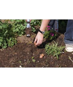 Masidef Piantabulbi Automatico - Semina Facile