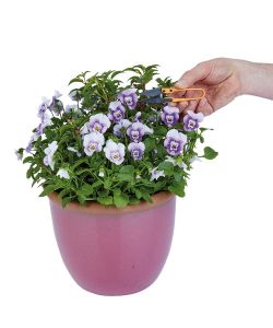 Cesoie Multiuso da Giardino con Manico a Molla - Compatte e Leggere