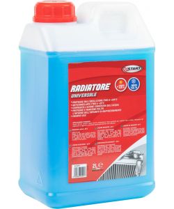 Liquido tergivetro effetto anticongelante -22grC 2L