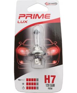START Lampadina auto alogena H7 55W - Ricambio fari anteriori - Luce intensa