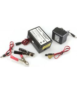 Mantenitore di carica per batterie 12V alimentazone AC 220