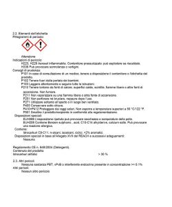 Arexons Svitol Lubrificante Spray 250 ml Trasparente Multiuso Fai da Te