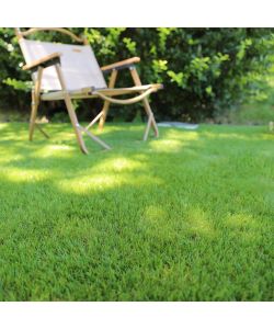 Tenax Prato Sintetico 37mm 1x5m Morbido Elegante Drenante Verde