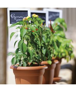 Stefanplast Sottovaso Tondo - Coccio - Ø 18 cm