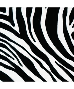 Pellicola Adesiva Zebra