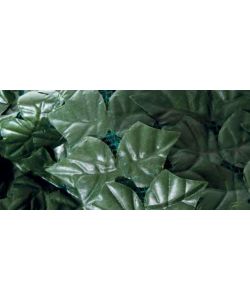 Sempreverde Siepe Decorativa - Verde - 1,5 x 3 m