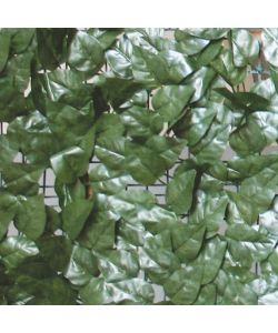 Sempreverde Siepe Decorativa - Verde - 1,5 x 3 m