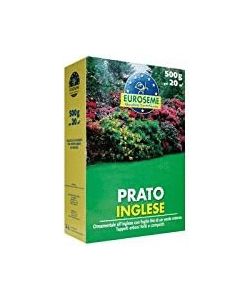 Euroseme Semi per Prato Inglese 1000 g - Miscuglio Ornamentale Resistente