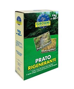 EUROSEME Sementi Rigenerante 1000 g per Prato Danneggiato - Rapido Sviluppo