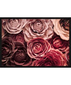 Decoposter Flowers con cornice 50x70