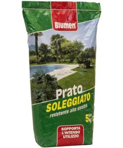 Blumen Prato Soleggiato Sementi 5 kg - Mix per Terreni Soleggiati