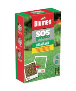Blumen Semi Prato Rigenerante Verde 200 gr - Rigenera Tappeti Erbosi