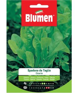 Blumen Cicoria Spadona da Taglio - Semi da orto verde scuro 1 confezione