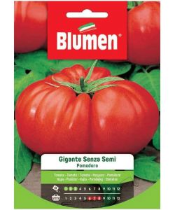 Blumen Sementi Pomodoro Gigante Senza Semi Rosso - 700g - Pianta Alta