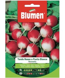 Blumen Semi di Ravanello Tondo Rosso a Punta Bianca - Confezione 1 Unit�
