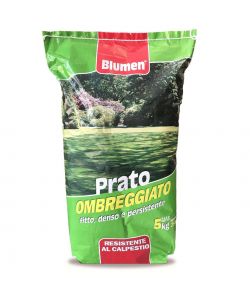 Blumen Semi Prato Ombreggiato - Copertura 250 mq Tappeto Erboso Resistente