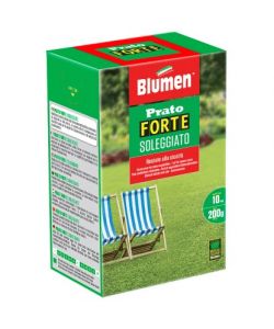 Blumen Prato Forte Soleggiato 200 g - Semi prato verde per sole e calpestio